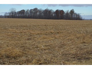 Property photo 6 - LAND AUCTION - 276.5+/- ACRES OFFERED IN 5 TRACTS IN EAST ALLEN COUNTY